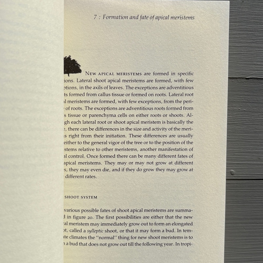 1984 The Growing Tree Forestry Student Tree Arborist Woods Forest Biology Nature - Picture 4 of 8